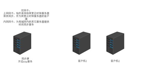 數(shù)據(jù)庫函數(shù)與存儲過程部署解析 構(gòu)建高效的數(shù)據(jù)處理與存儲支持服務(wù)