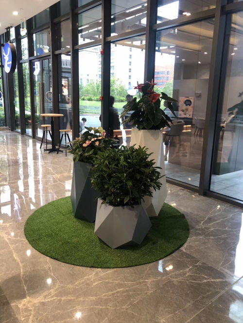 打造理想中的別墅庭院花園 從設(shè)計施工到綠化養(yǎng)護全攻略